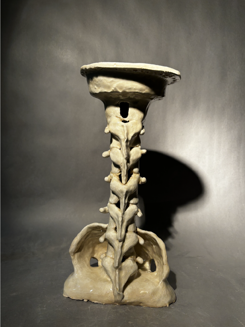 The Spine